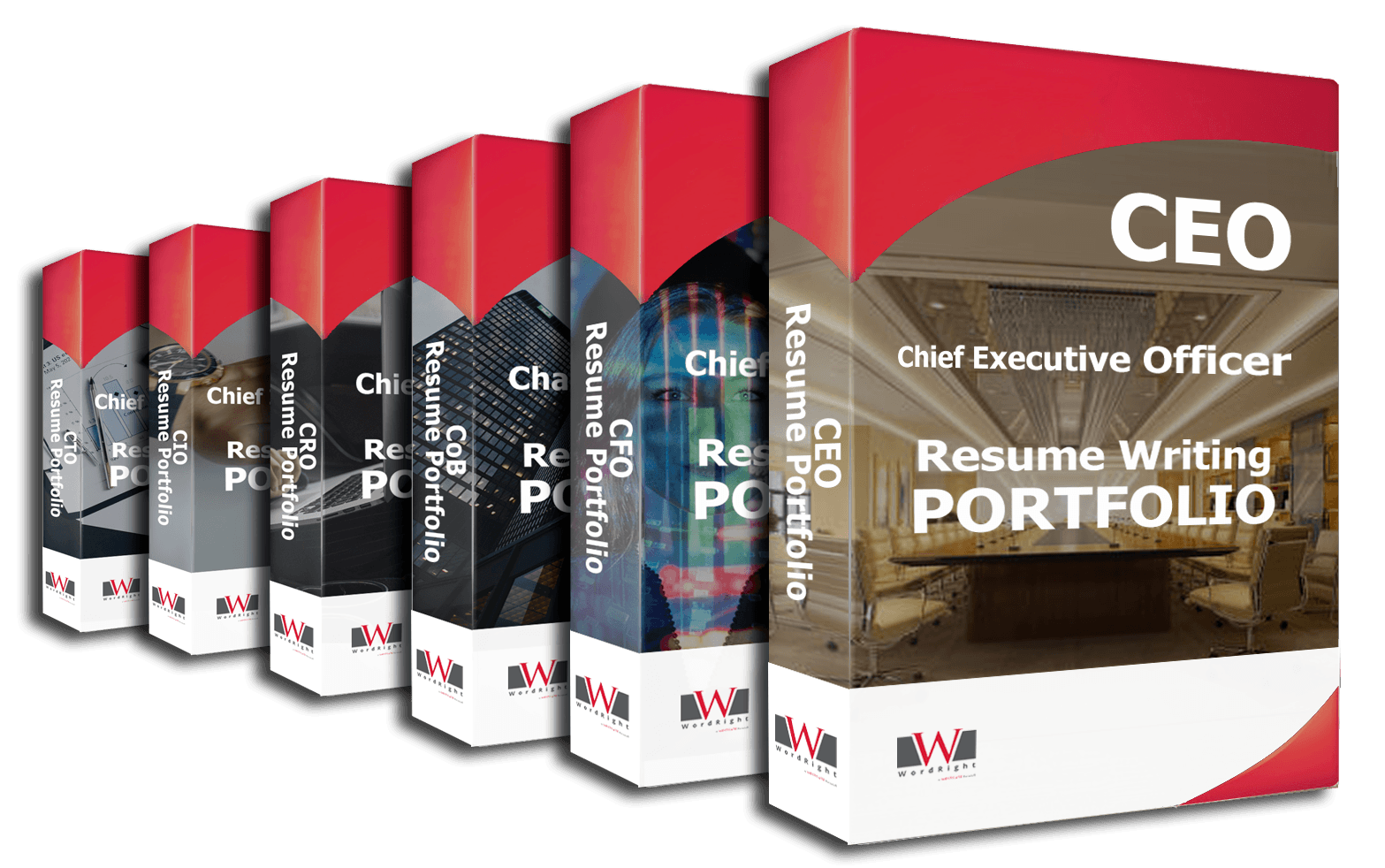 Resume Writing Portfolio Bundles